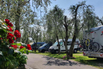 camping-gardasee-brenzone-sul-garda-le-maior-stelplatz-50